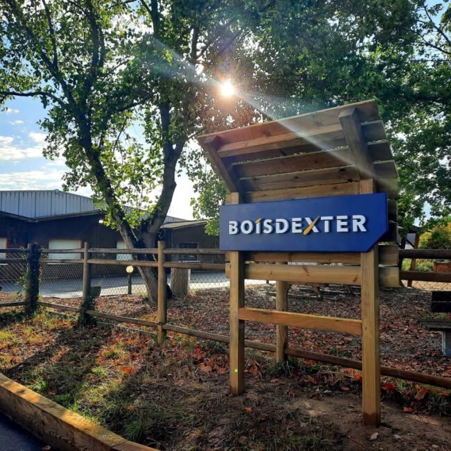 Société Boisdexter