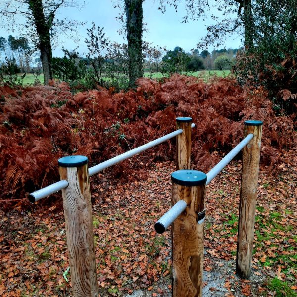 Testez votre équilibre et progressez sur les barres parallèles