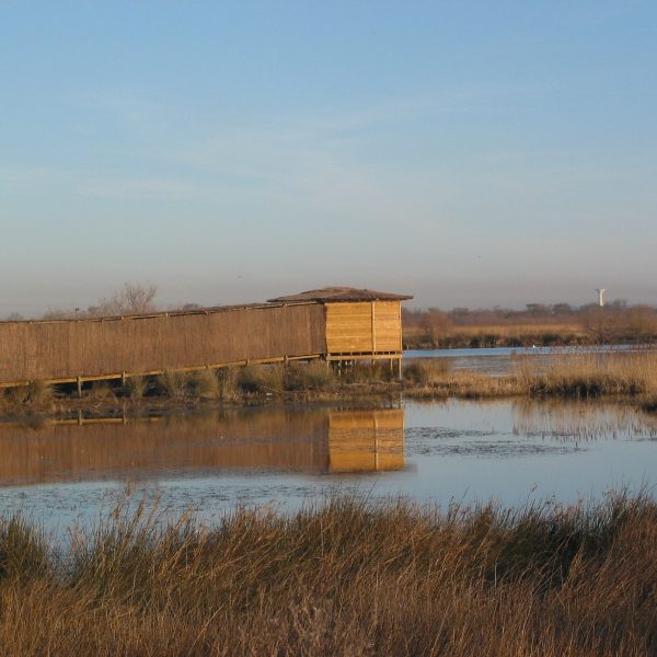 Observatoires en bois- Aménagement en bois Boisdexter
